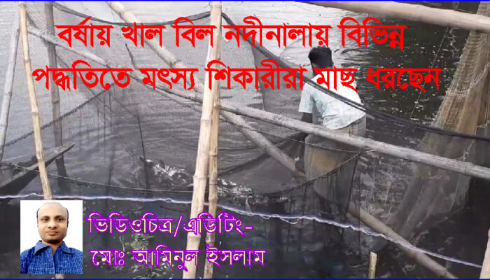 বর্ষায় খালবিল নদীনালায় বিভিন্ন পদ্ধতিতে মৎস্য শিকারীরা মনের আনন্দে মাছ ধরছেন