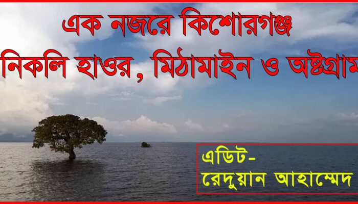 এক নজরে নিকলি, মিঠামাইন ও অষ্টগ্রাম