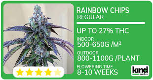 Cannabis Seeds California A Comprehensive Guide to Growing in the Golden State Cannabis Seeds California A Comprehensive Guide to Growing in the Golden State