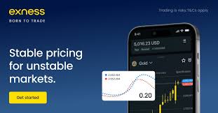 Understanding the Role of an Exness Intl Member in Successful Trading